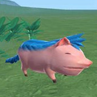 1574402557_8.jpg