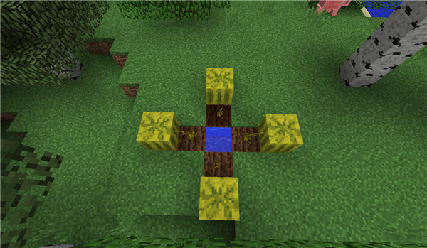 4.png
