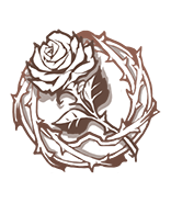 16.png
