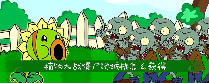 未标题-3.jpg
