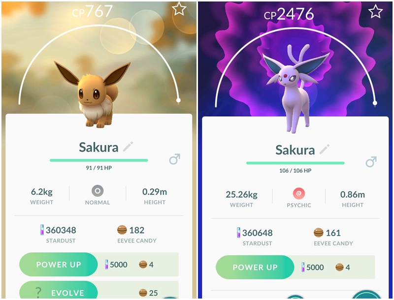 SAKURA.jpg