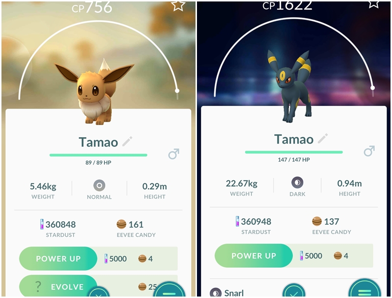 tamao.jpg