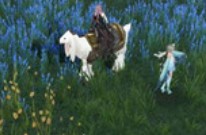 天谕野外精英怎么打 天谕野外精英在哪