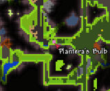 泰拉瑞亞世紀之花花苞出現條件 泰拉瑞亞世紀之花怎么打，世紀之花打法流程