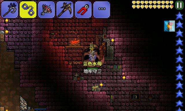 泰拉瑞亚地牢守卫怎么打 泰拉瑞亚地牢守卫掉落物品