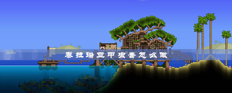 泰拉瑞亚甲虫套怎么做 泰拉瑞亚甲虫套之后是什么套装