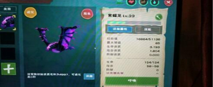 创造与魔法紫蝠龙进阶资质一览 创造与魔法紫蝠龙资质一览