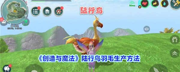 创造与魔法陆行鸟羽毛多久生产一次 创造与魔法陆行鸟羽毛要多少饲料