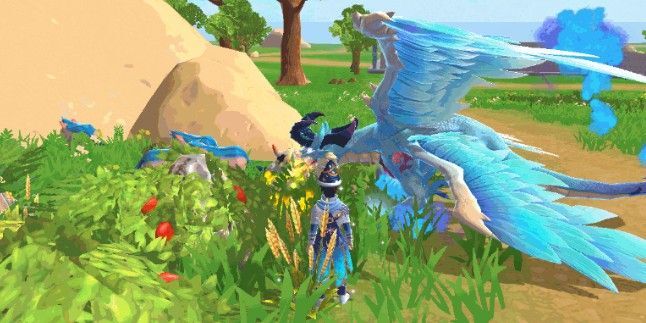 创造与魔法夕阳花更新必刷点 创造与魔法夕阳花多久刷新一次