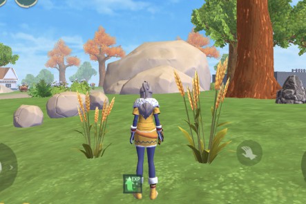 创造与魔法小麦在哪，小麦资源分布图 创造与魔法小麦饲料怎么做