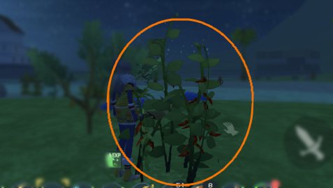 创造与魔法辣椒多久刷新一次 创造与魔法辣椒多久刷新有什么用