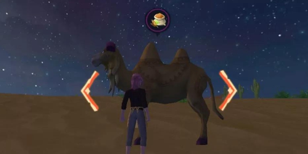 创造与魔法骆驼饲料保底多少包 创造与魔法骆驼怎么驯服