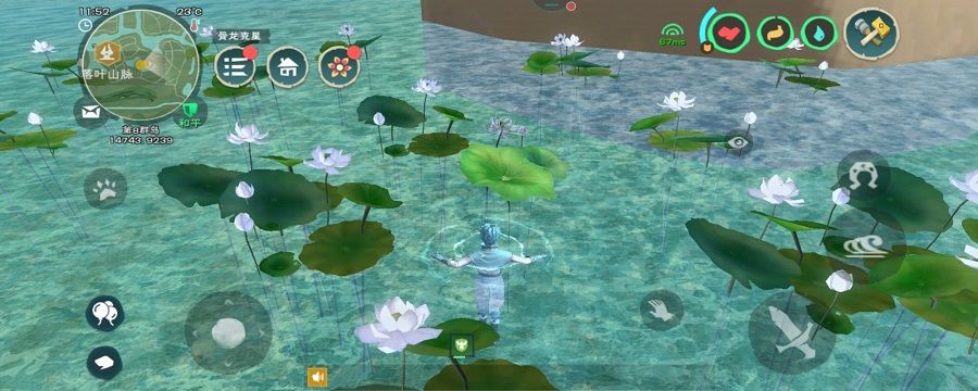 创造与魔法水晶睡莲有什么用 创造与魔法水晶睡莲刷新时间