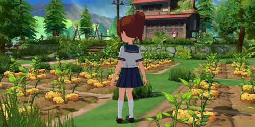 小森生活香蕉哪里多 小森生活香蕉树多久刷新一次