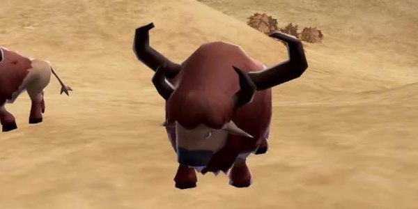 创造与魔法荒原牛吃什么 创造与魔法荒原牛怎么驯服