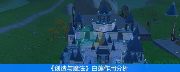 创造与魔法白莲有什么用 创造与魔法白莲食谱