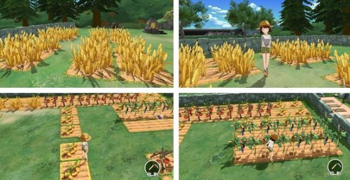 小森生活小麦粉怎么获得 小森生活小麦粉怎么制作