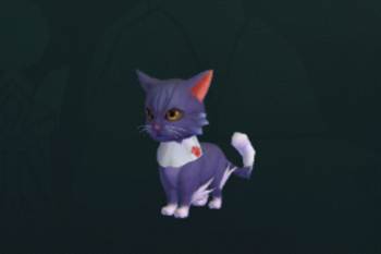 创造与魔法猫王怎么来的 创造与魔法猫王怎么捉