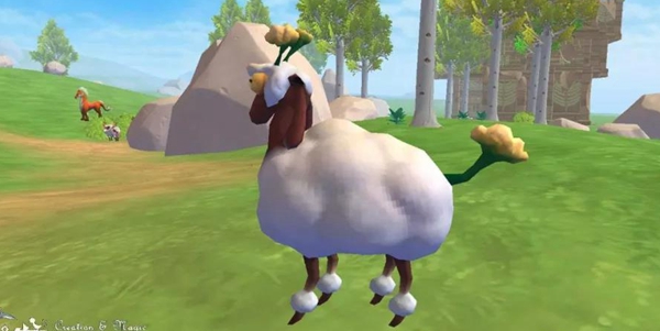 创造与魔法羊怎么抓 创造与魔法羊排汤怎么做