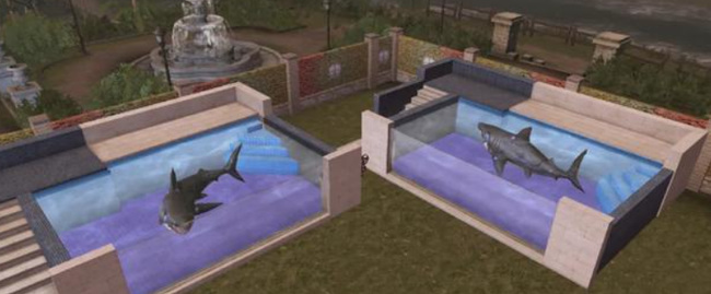 明日之后釣鯊魚要幾級(jí)魚竿 明日之后釣鯊魚攻略技巧