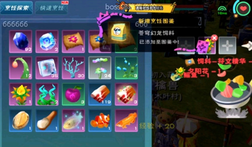 创造与魔法苍穹幻龙饲料保底多少包 创造与魔法苍穹幻龙饲料怎么做