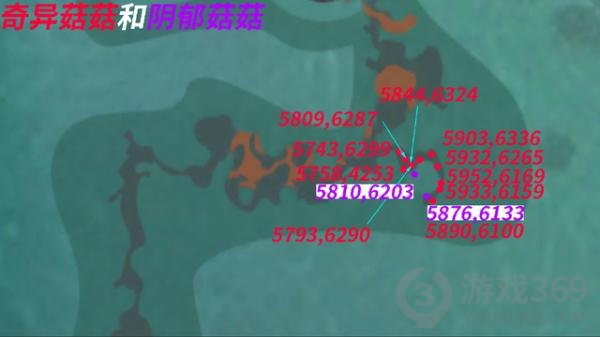 创造与魔法奇异菇位置图 创造与魔法奇异菇能做什么