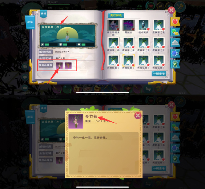 创造与魔法奇竹花怎么弄 创造与魔法奇竹花怎么获取