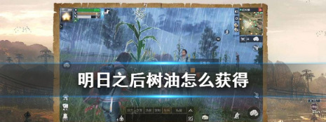 明日之后樹油怎么獲得 明日之后樹油在哪采集