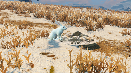 明日之后兔子哪里最多 明日之后兔子多久刷新