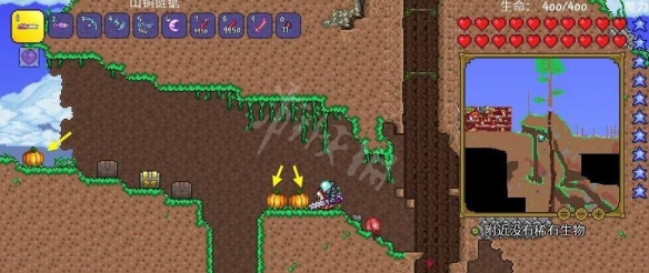 泰拉瑞亚草籽怎么获得 泰拉瑞亚草籽有什么用