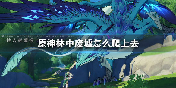 原神林中废墟门口的怪怎么打 原神林中废墟怎么飞过去