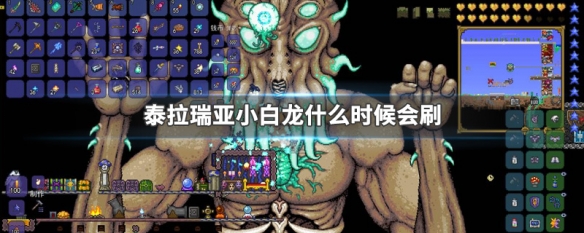 泰拉瑞亚小白龙多久刷一次 泰拉瑞亚小白龙怎么召唤