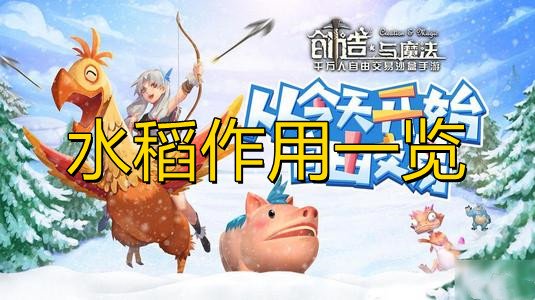 创造与魔法水稻位置图 创造与魔法水稻有什么用