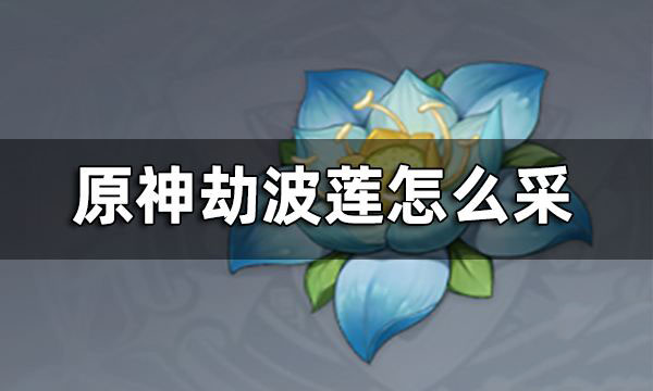原神劫波莲采集路线 原神劫波莲哪里买，劫波莲购买途径