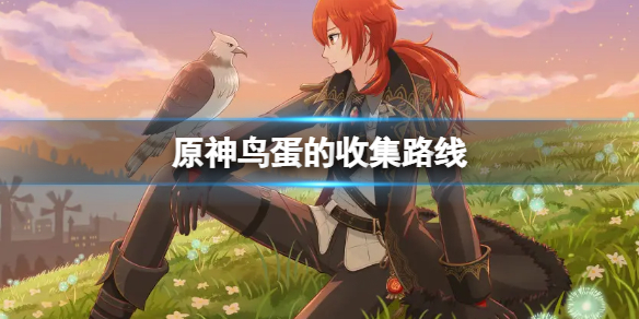 原神鸟蛋哪里有卖 原神鸟蛋在哪里收集