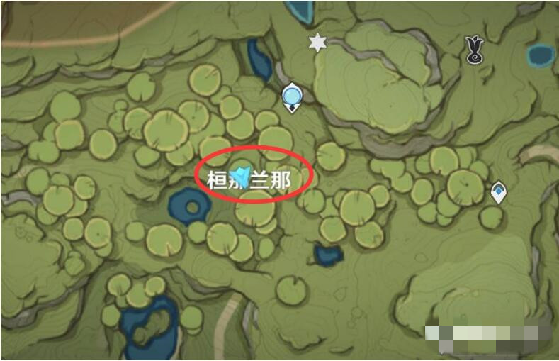 原神梦之树怎么进去 原神梦之树在哪