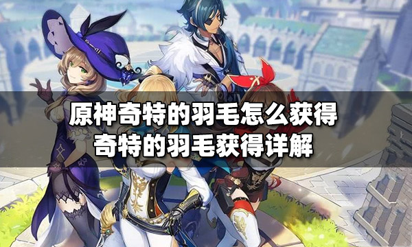 原神羽毛道具怎么使用 原神羽毛道具怎么获得