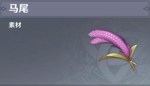 原神马尾分布图 原神马尾有什么用