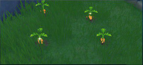 原神植物资源多久刷新 原神植物资源几点刷新