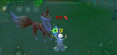 创造与魔法心月狐饲料包怎么制作 创造与魔法心月狐位置