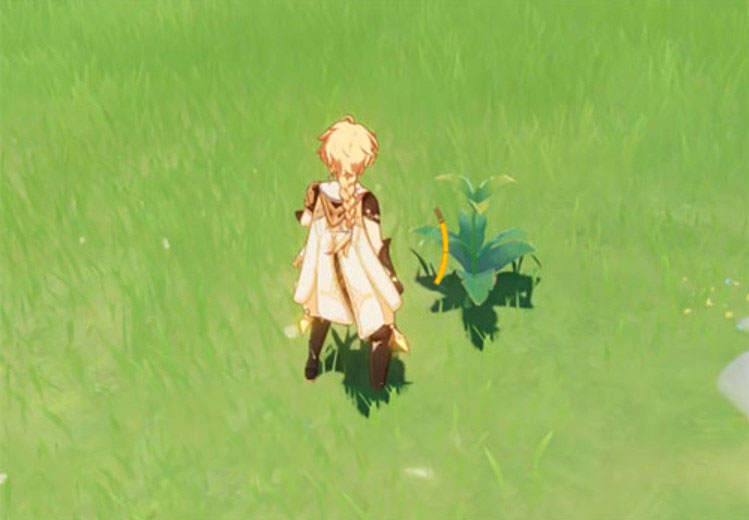 原神落落莓分布图 原神落落莓在哪里买