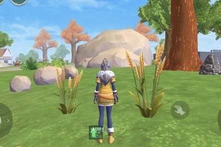 创造与魔法叶子在什么树上多 创造与魔法叶子哪里多