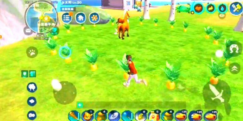 创造与魔法萝卜田位置 创造与魔法萝卜最多的地方