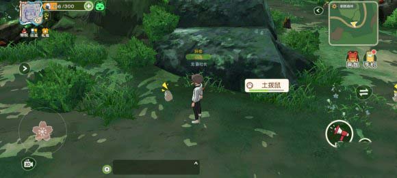 小森生活土拨鼠怎么捕猎 小森生活土拨鼠怎么不出洞