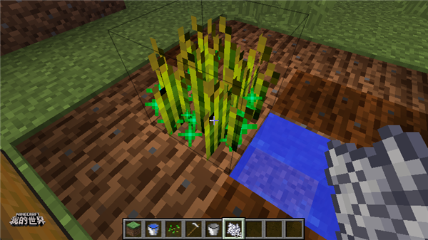 我的世界小麦种子怎么获得，小麦怎么种植 我的世界小麦多久成熟