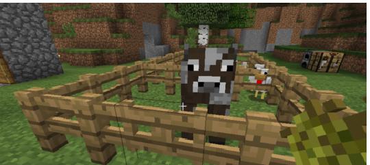 我的世界牛吃什么 我的世界牛怎么繁殖