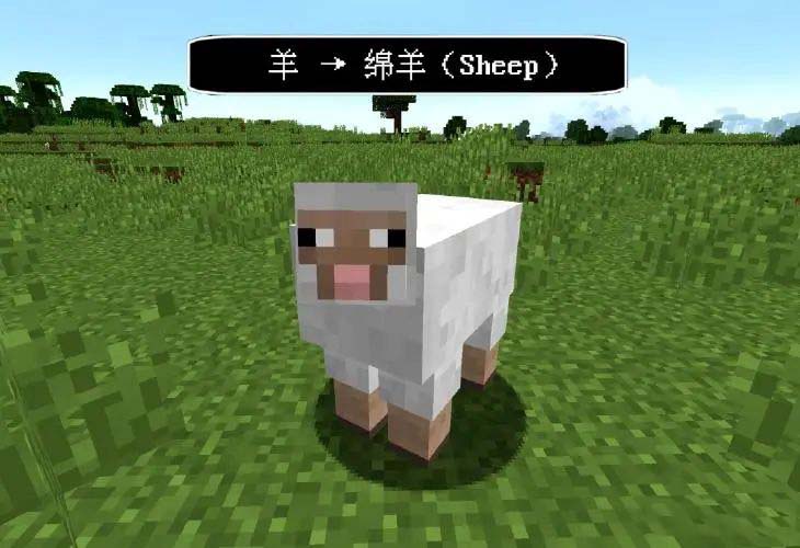 我的世界羊怎么吸引 我的世界羊怎么变成彩色的