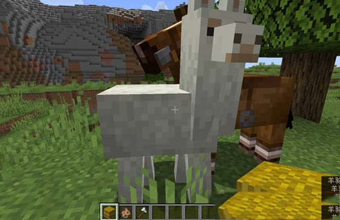 我的世界羊驼怎么驯服 我的世界羊驼吃什么