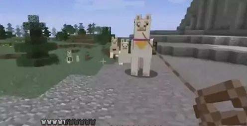 我的世界羊驼怎么骑 我的世界羊驼身上装什么