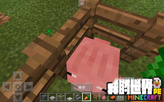 我的世界猪吃什么 我的世界猪怎么驯服